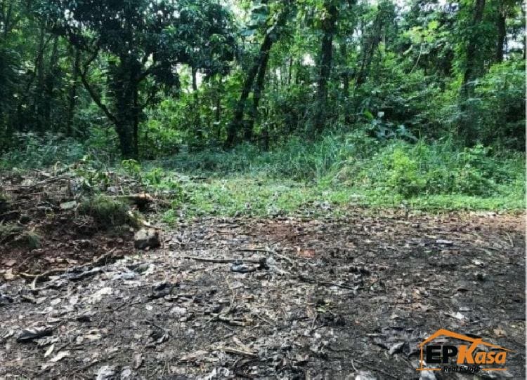 Terreno de venta próximo a la Parada corazon de Jesus — foto 6