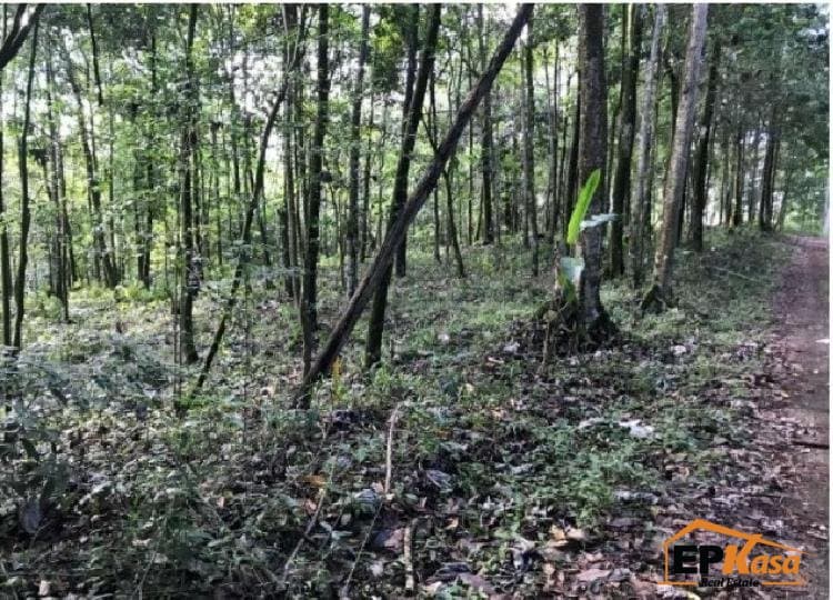 Terreno de venta próximo a la Parada corazon de Jesus — foto 7