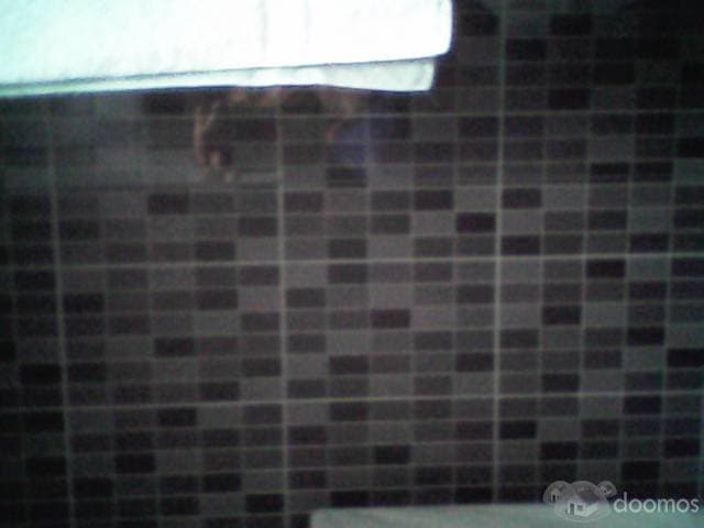 APARTAMENTO AMUEBLADO FULL — foto 6